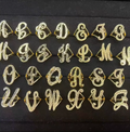 Geometric Initial Ring